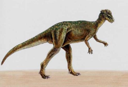 Pachycephalosaurus 1